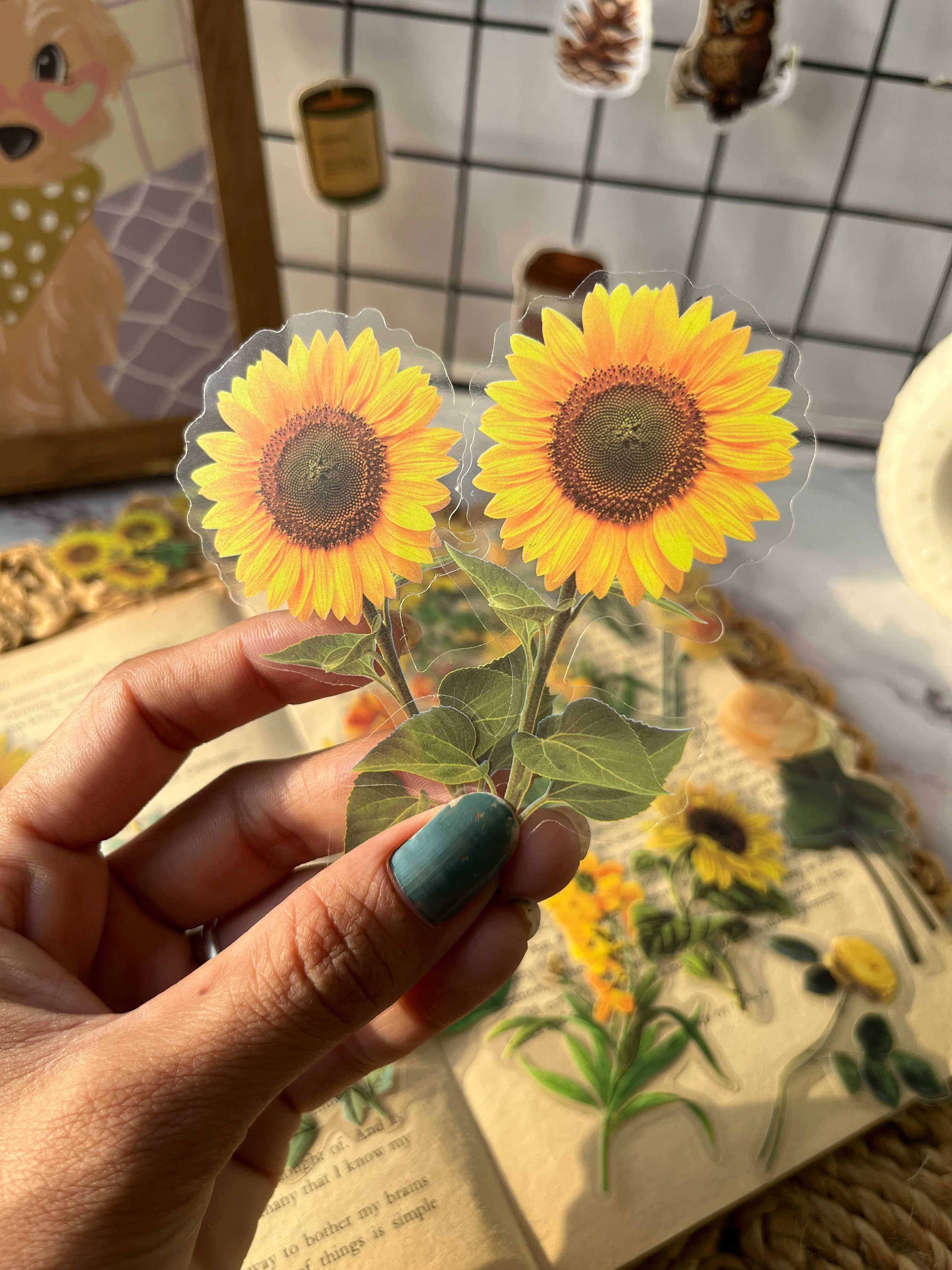 Product image 22
